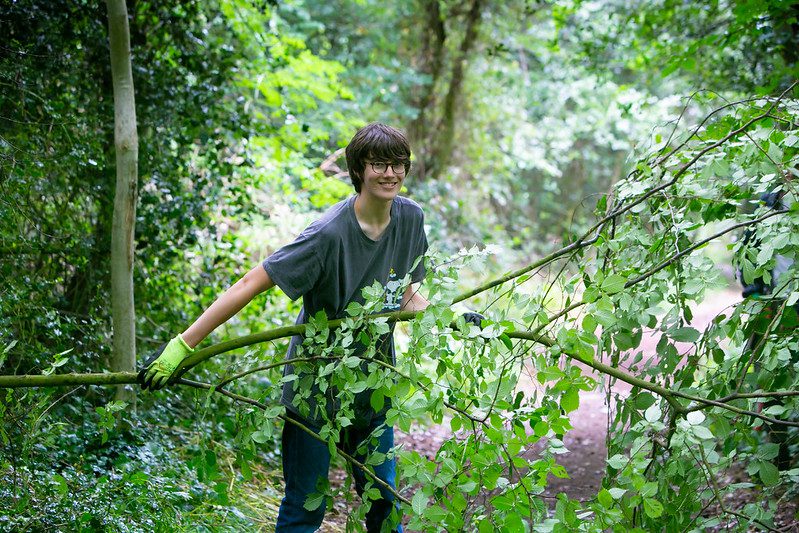Work Experience | Chiltern Rangers