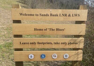 Home of the Blues sign