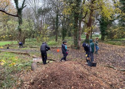 Bedgrove Spinney 2025 (7)